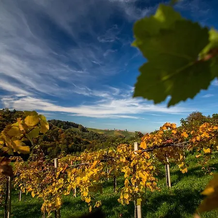 Moor-rosl Hotel apartamentowy