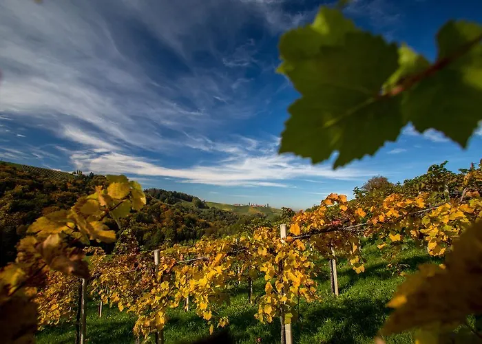 Moor-rosl شقة فندقية